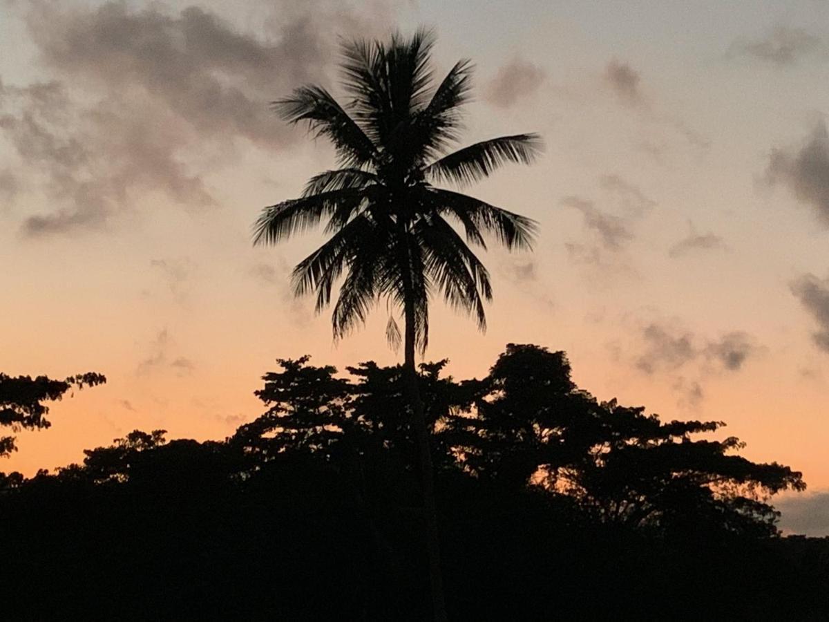 Green Queendom Farm And Lodging Oracabessa Buitenkant foto