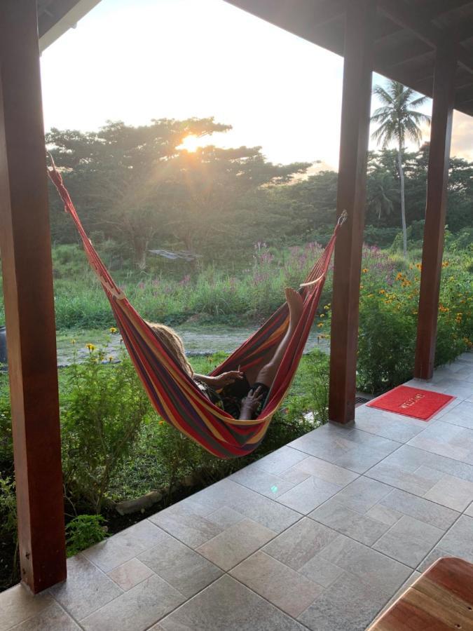 Green Queendom Farm And Lodging Oracabessa Buitenkant foto