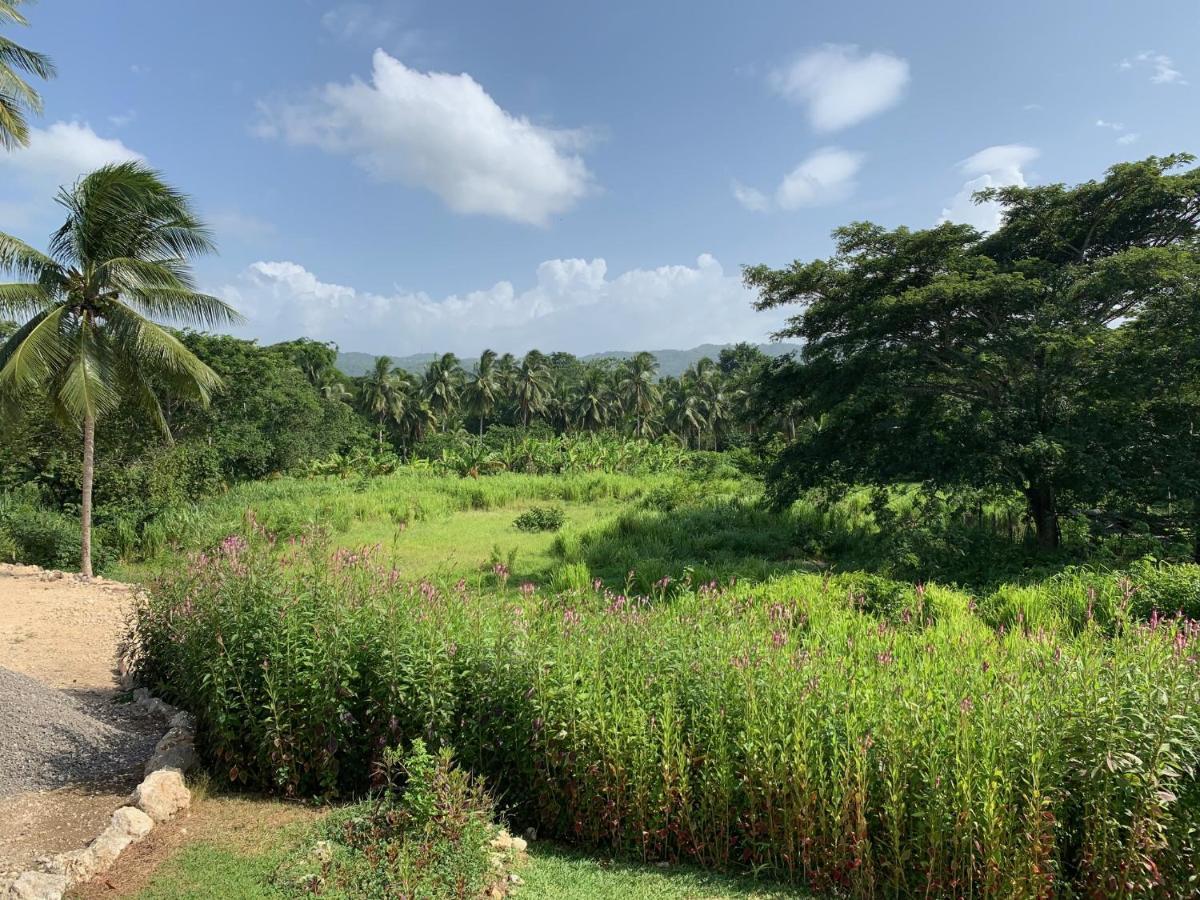 Green Queendom Farm And Lodging Oracabessa Buitenkant foto